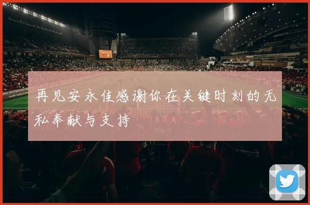 再见安永佳感谢你在关键时刻的无私奉献与支持