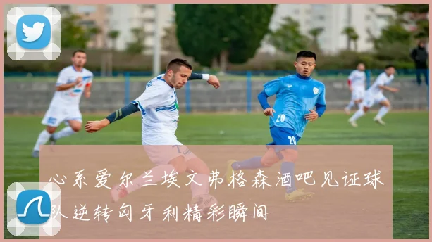 心系爱尔兰埃文弗格森酒吧见证球队逆转匈牙利精彩瞬间